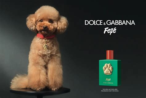 dolce & gabbana original denim bag|Dolce & Gabbana launches dog perfume named after founder's pet.